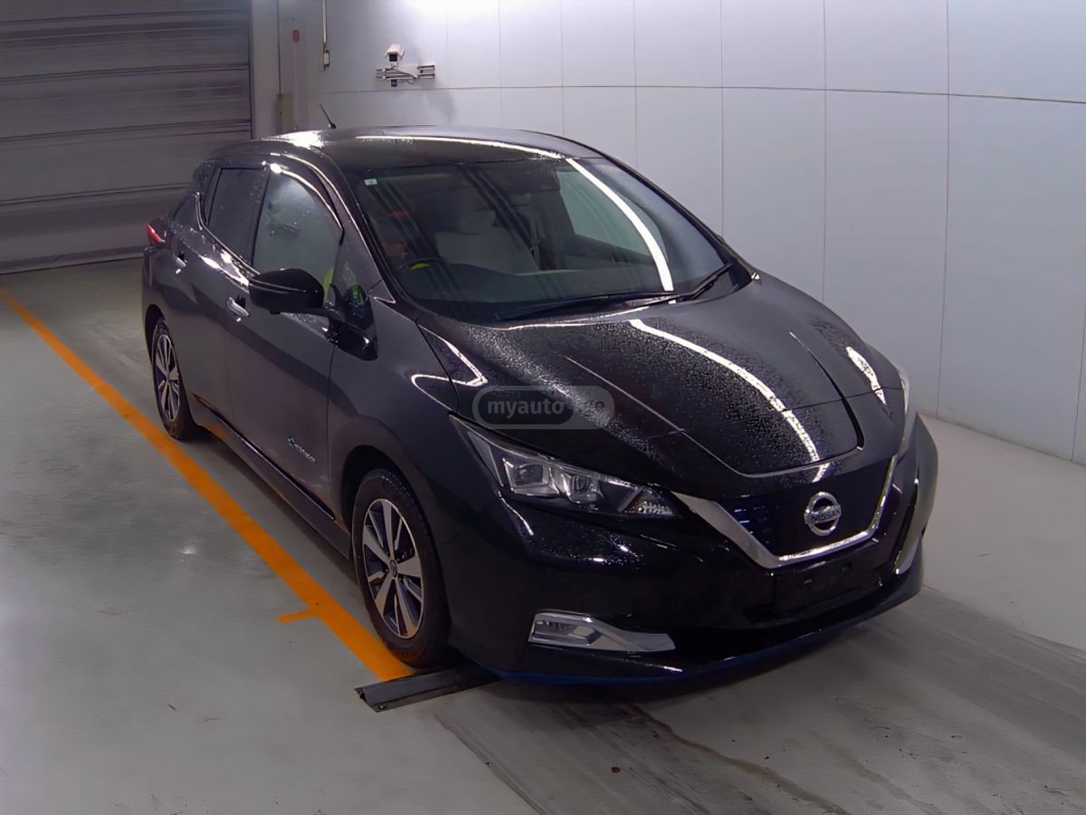 Nissan Leaf - фото 1