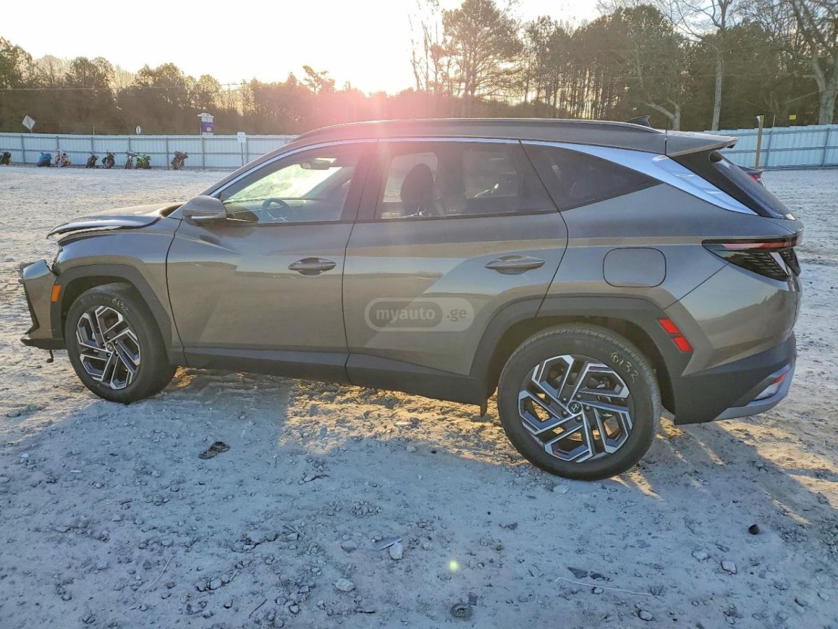 Hyundai limited — миниатюра 6