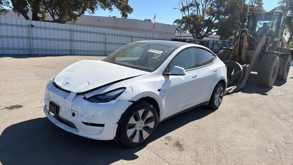Tesla Model Y - фото 1