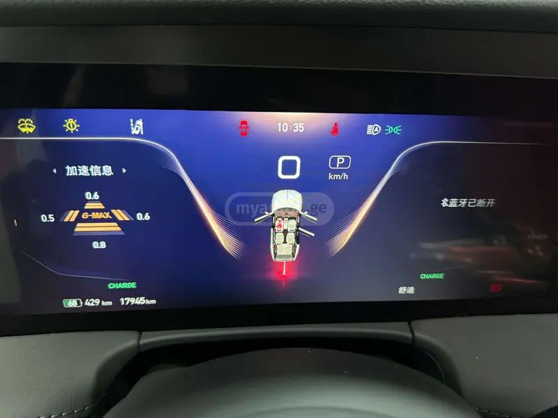 Hongqi E-HS9 - фото 11