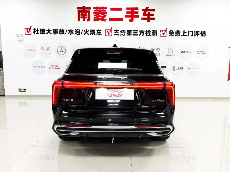 Hongqi E-HS9 - фото 5