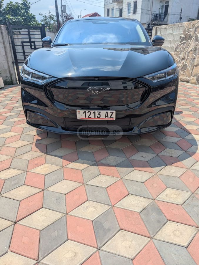 Ford Mustang Mach-E - фото 1