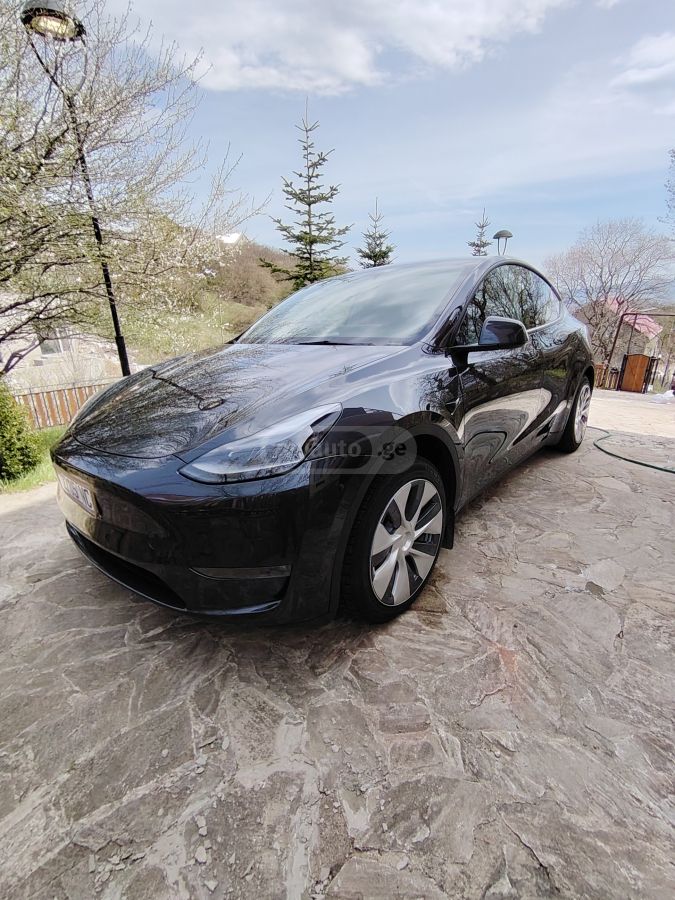 Tesla Model Y - фото 1