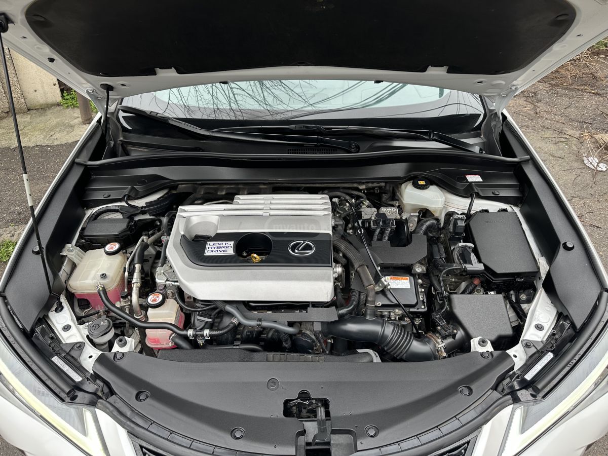 Lexus UX 250 h - фото 12