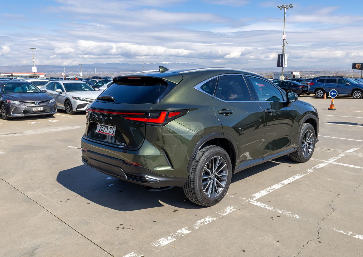 Lexus Lexus NX — миниатюра 4