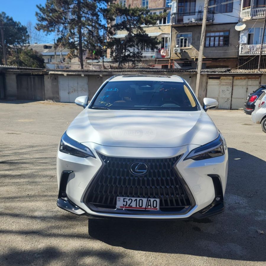 Lexus NX 300 2024 — миниатюра 1