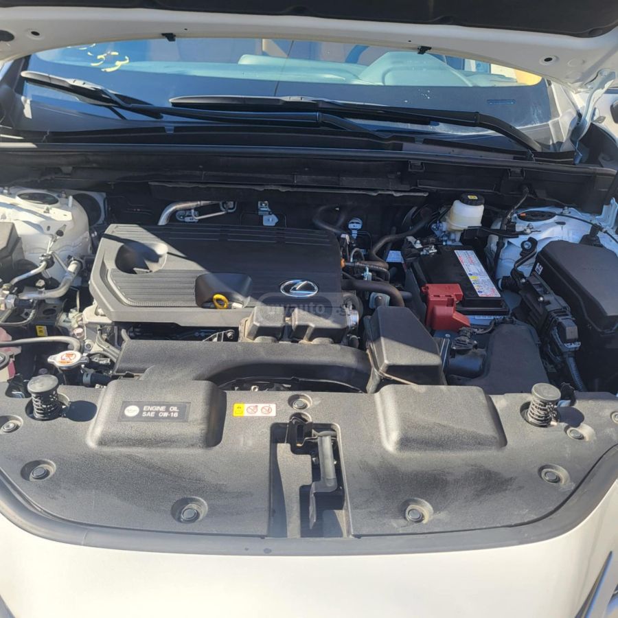 Lexus NX 300 2024 — миниатюра 10