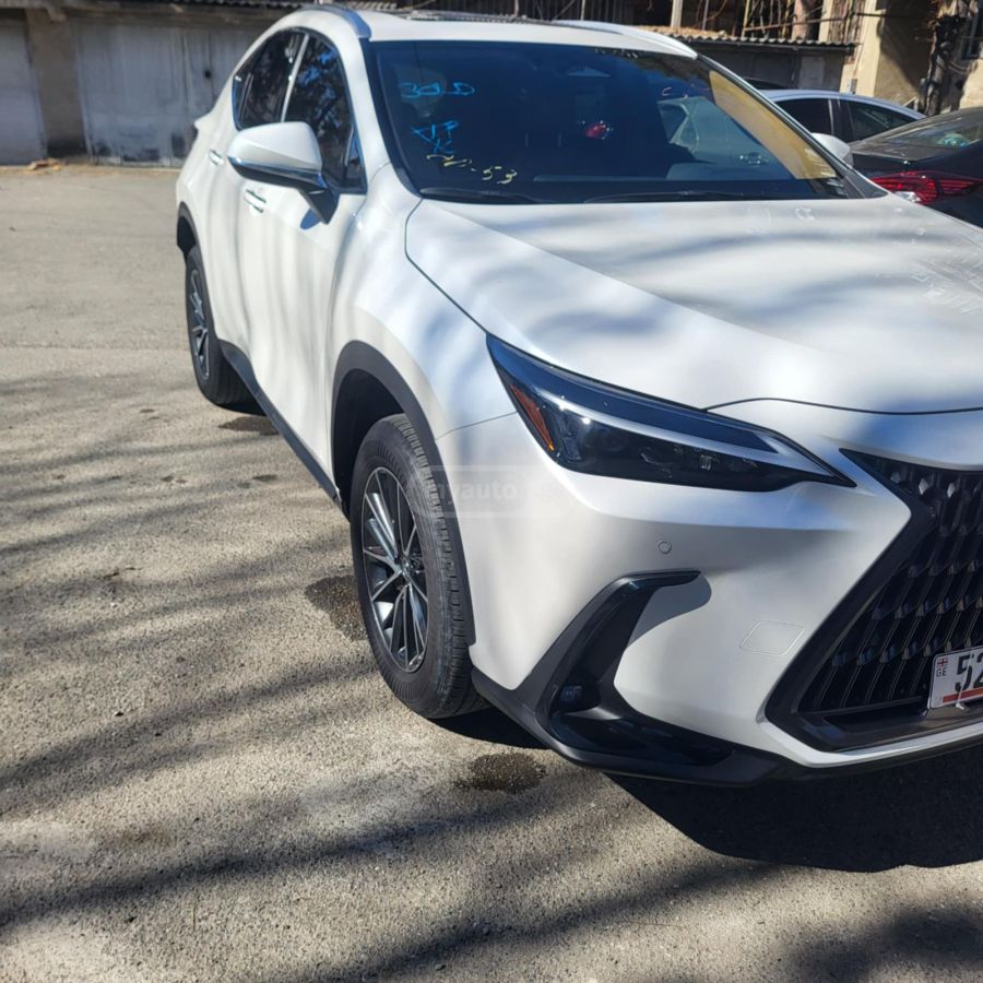 Lexus NX 300 2024 — миниатюра 13