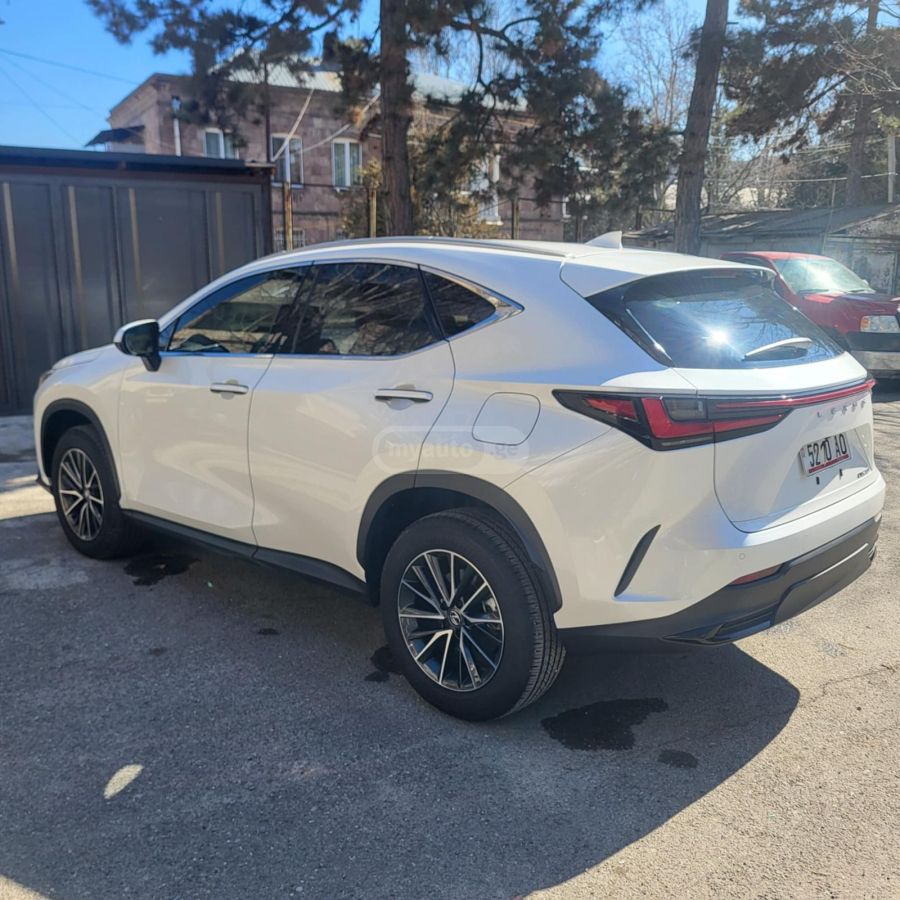 Lexus NX 300 2024 — миниатюра 14