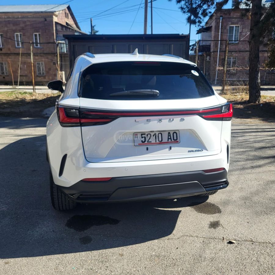 Lexus NX 300 2024 — миниатюра 2