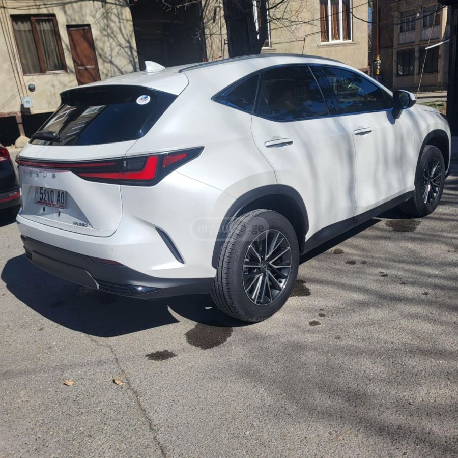 Lexus NX 300 2024 — миниатюра 4