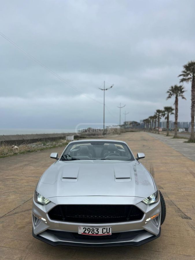 Ford Mustang - фото 12