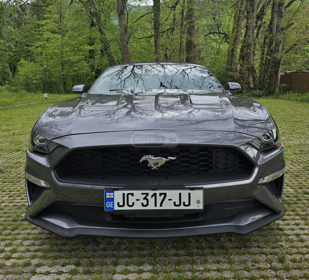 Ford Mustang - фото 1