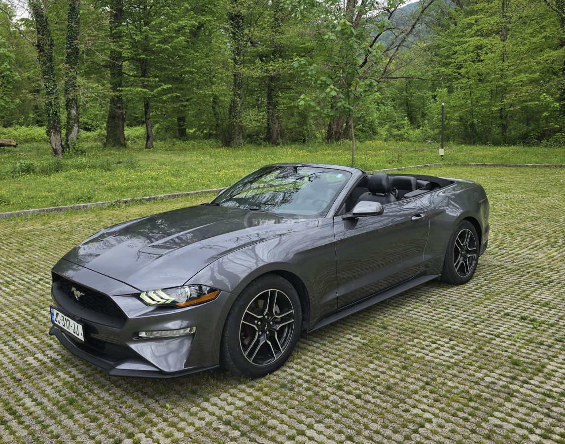 Ford Mustang - фото 12