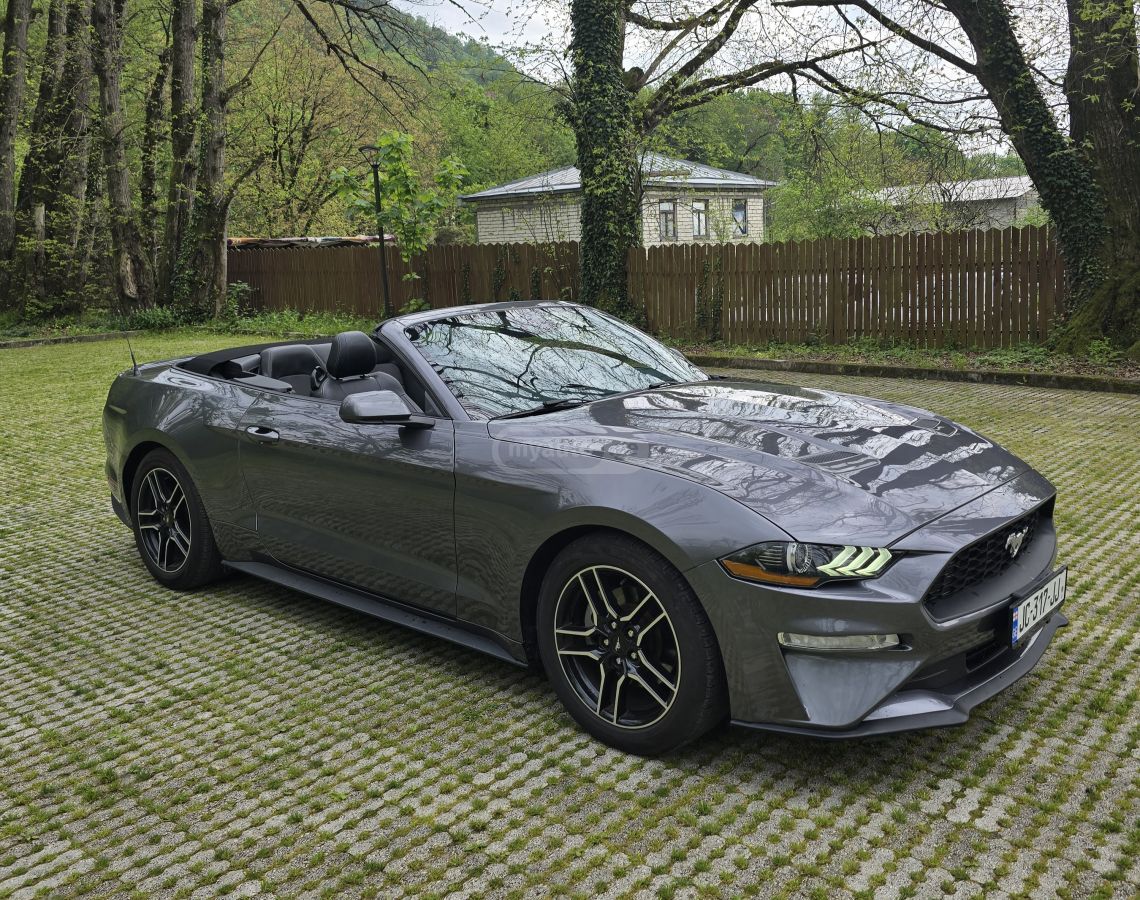 Ford Mustang - фото 13