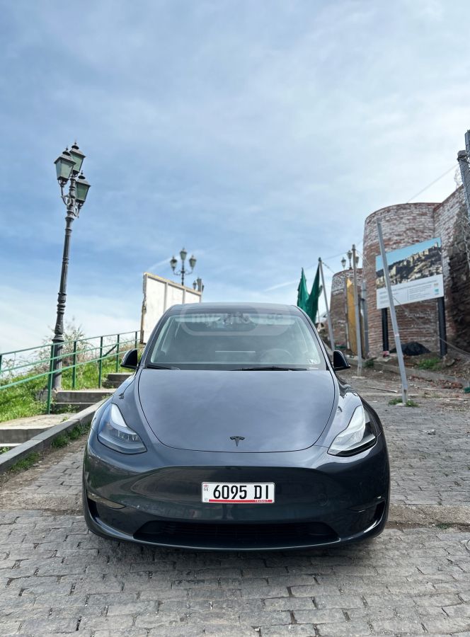 Tesla DUAL MOTOR PERFORMANCE — миниатюра 1