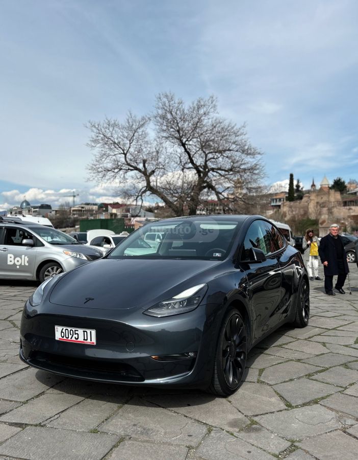 Tesla DUAL MOTOR PERFORMANCE — миниатюра 2