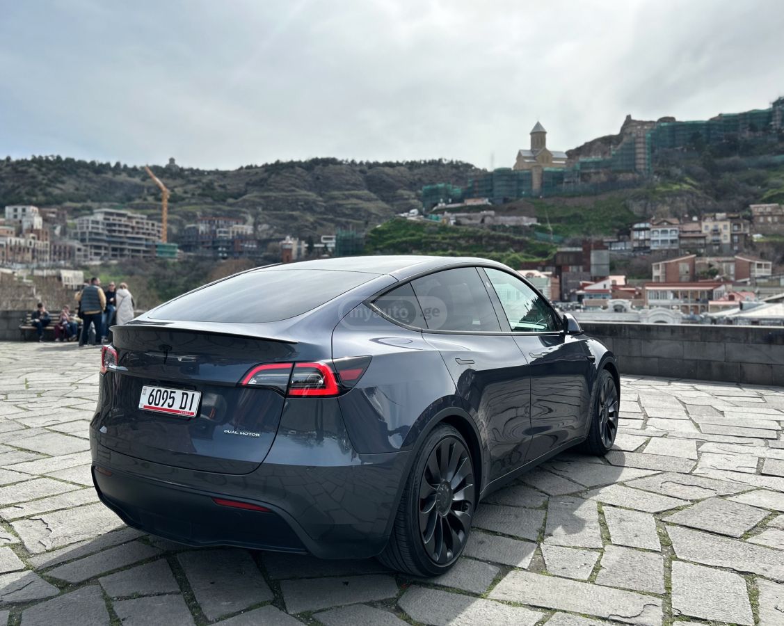 Tesla DUAL MOTOR PERFORMANCE — миниатюра 5