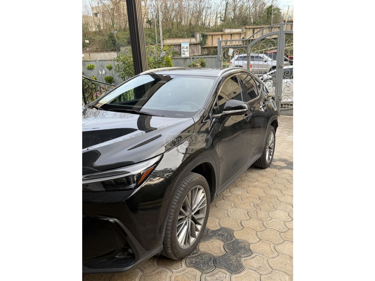 Lexus NX 350 - фото 1