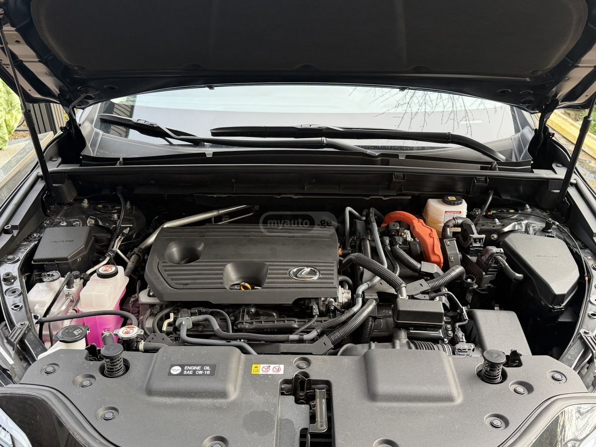 Lexus NX 350 - фото 14