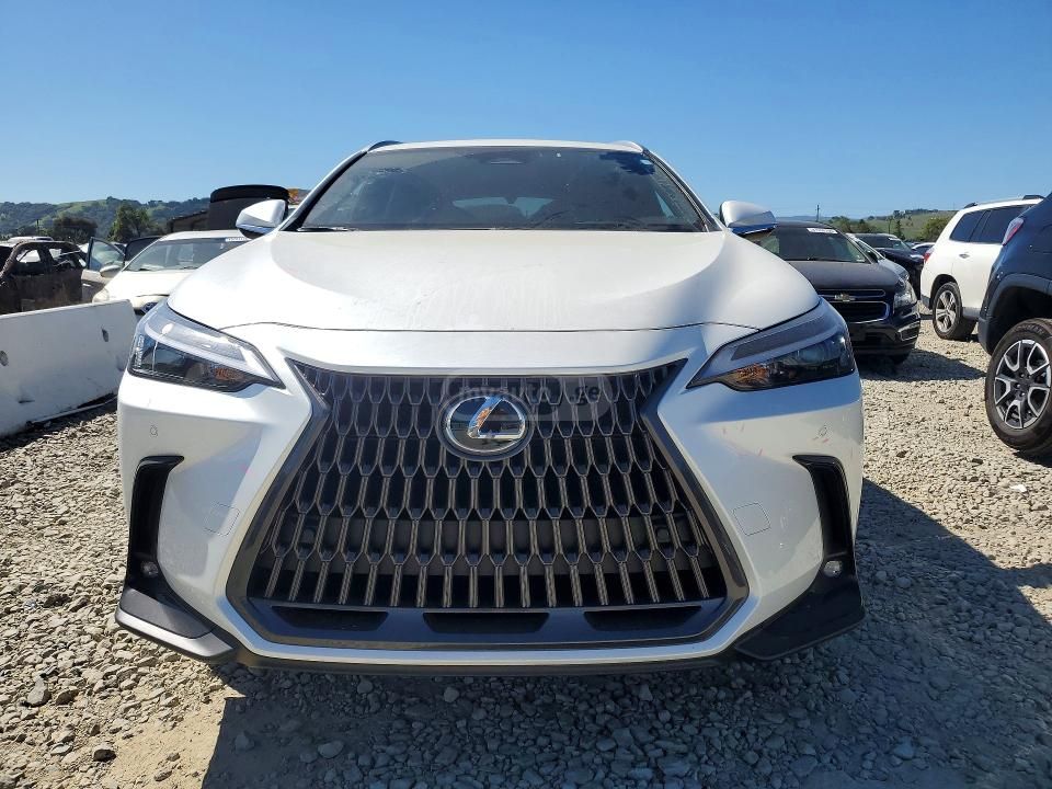 Lexus PREMIUM — миниатюра 5