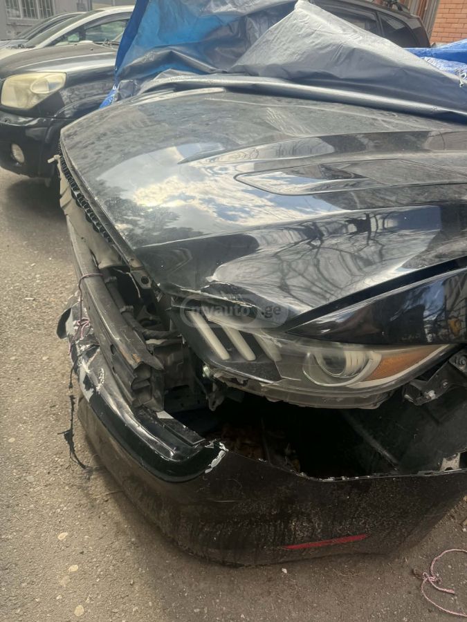 Ford Mustang - фото 1