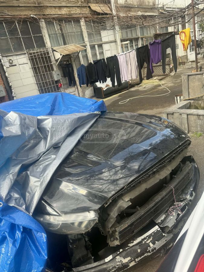 Ford Mustang - фото 2