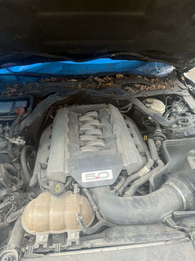 Ford Mustang - фото 6