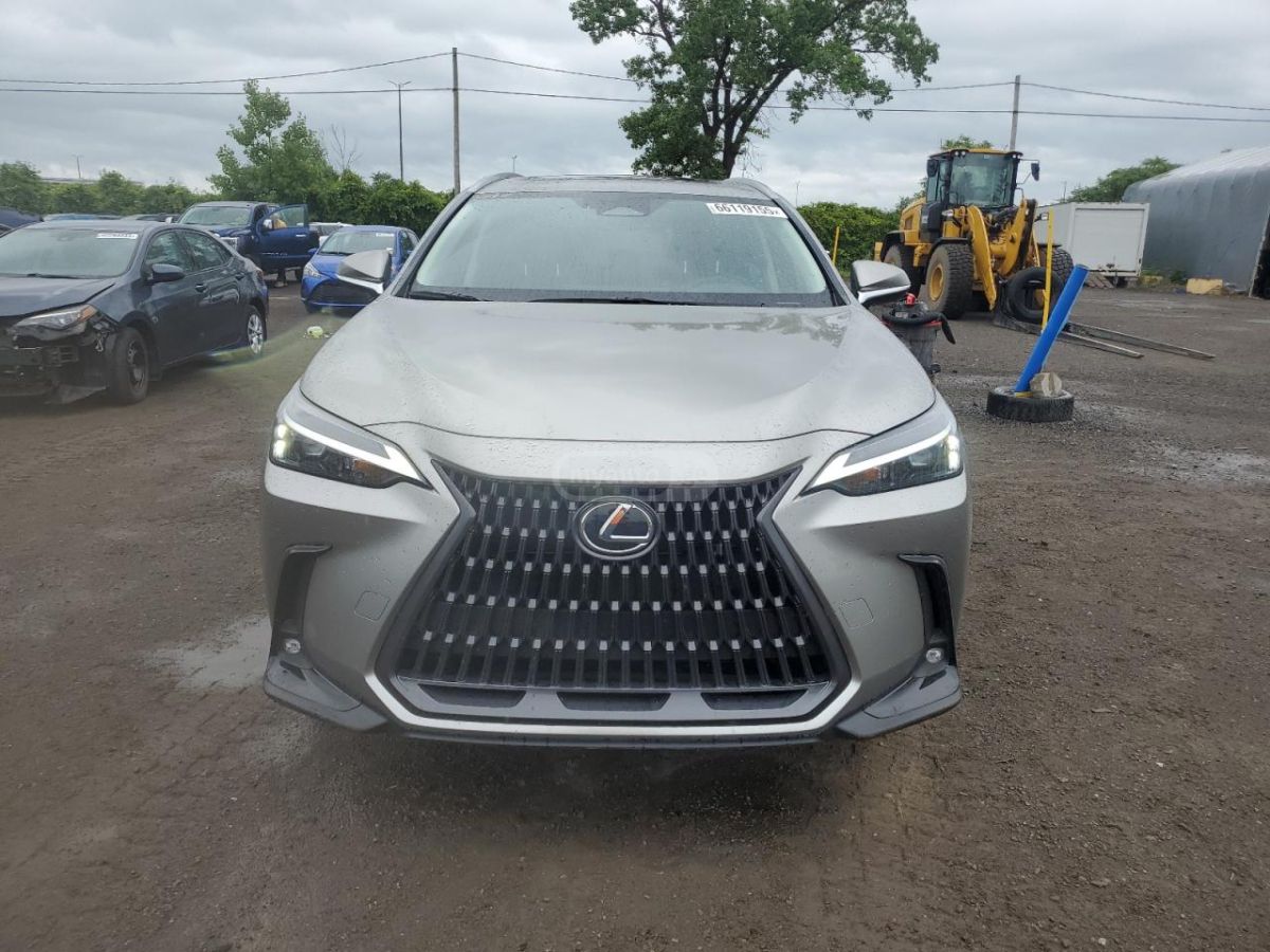Lexus NX 450 2024 — миниатюра 1
