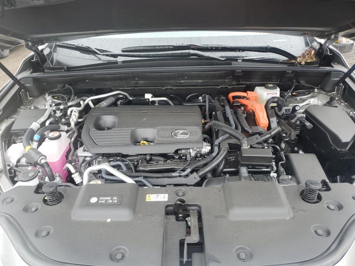 Lexus NX 450 2024 — миниатюра 11