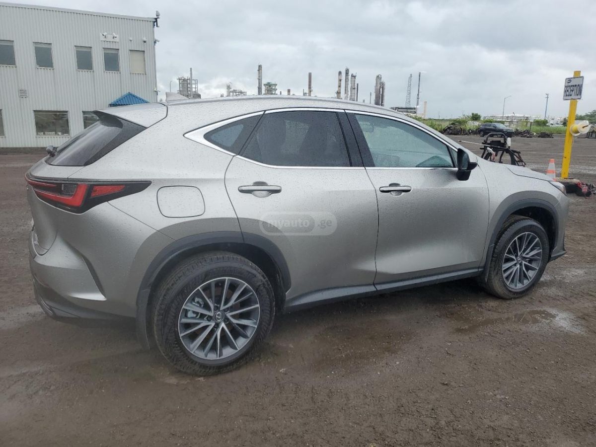 Lexus NX 450 2024 — миниатюра 5