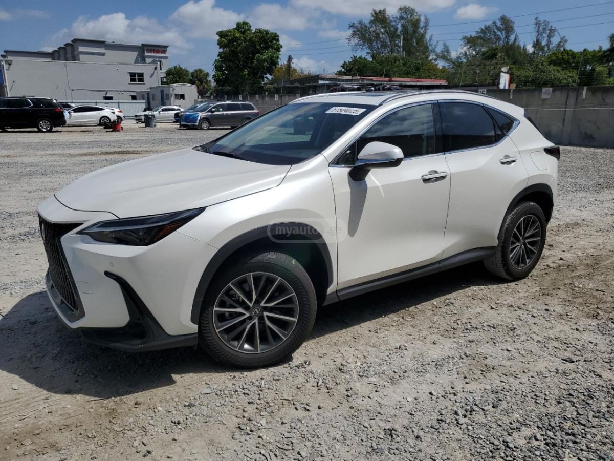 Lexus NX 300 Base 4dr All-wheel Drive Autom 2024 — миниатюра 1