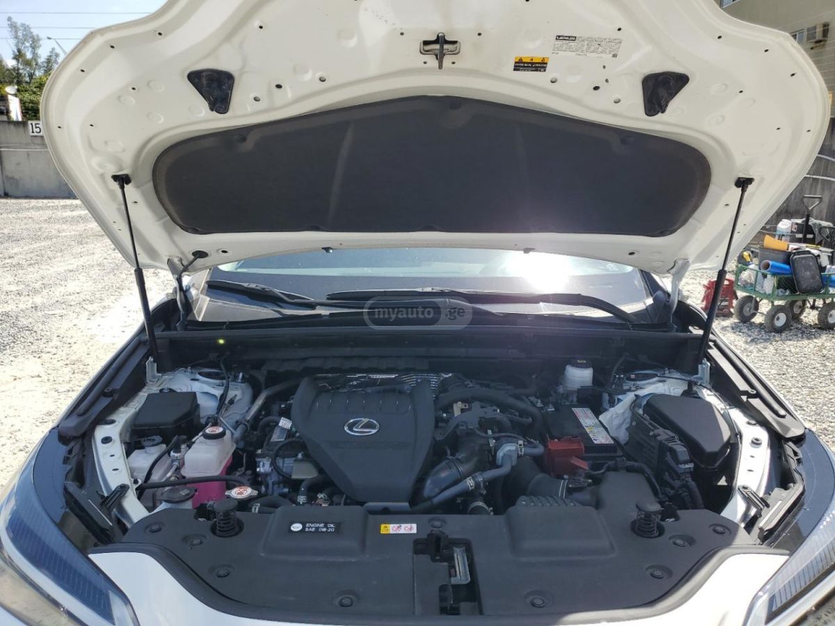 Lexus NX 300 Base 4dr All-wheel Drive Autom 2024 — миниатюра 10