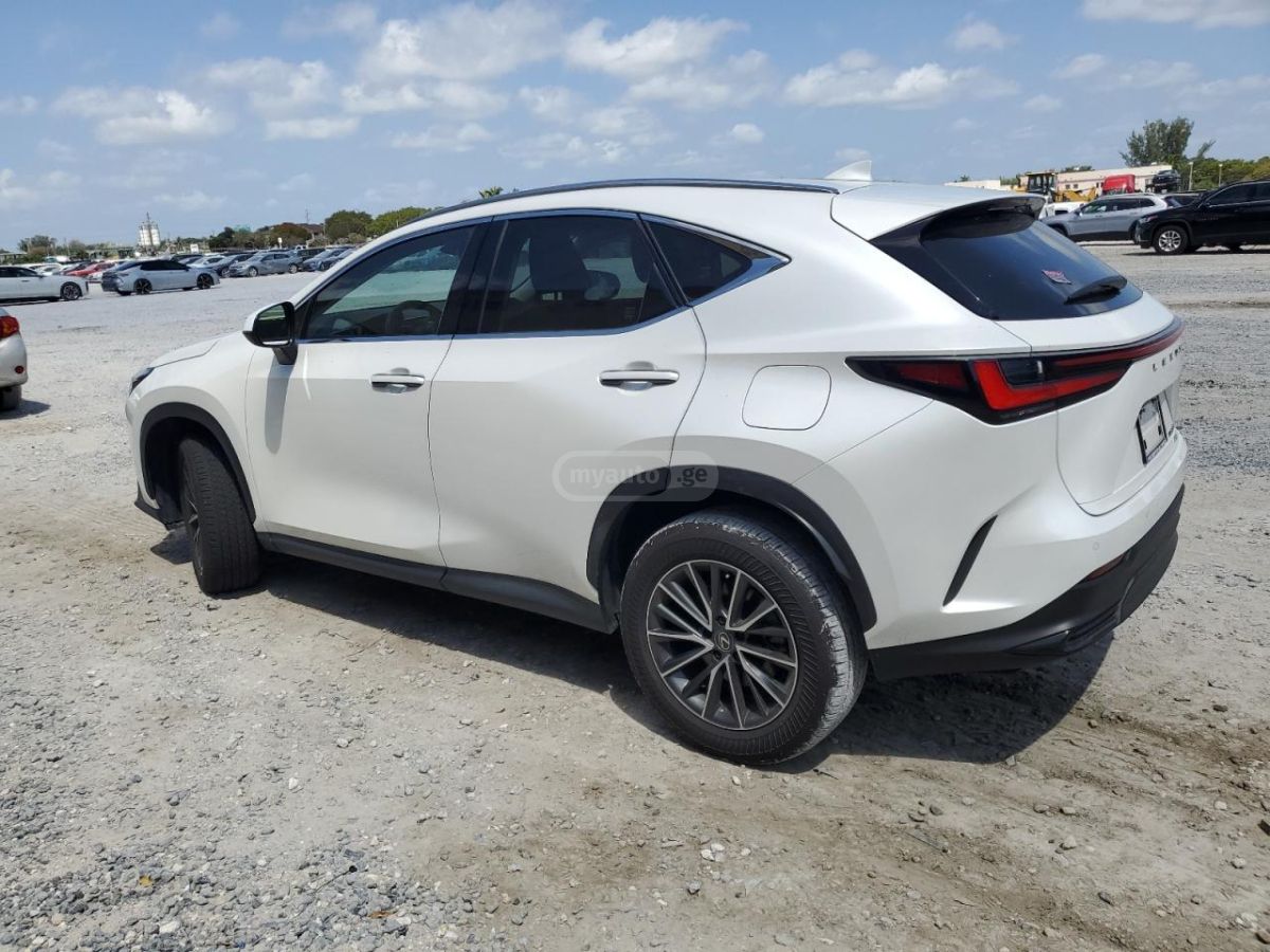 Lexus NX 300 Base 4dr All-wheel Drive Autom 2024 — миниатюра 2
