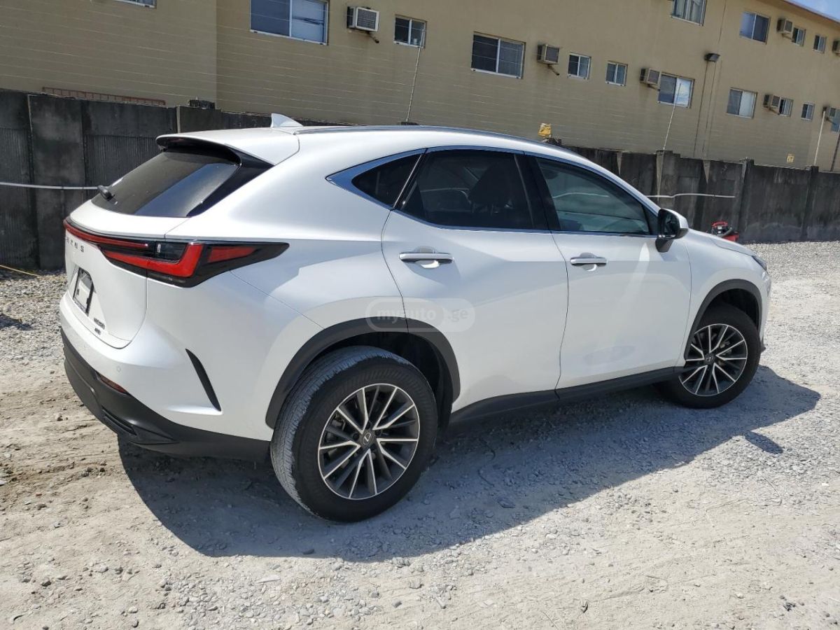 Lexus NX 300 Base 4dr All-wheel Drive Autom 2024 — миниатюра 3
