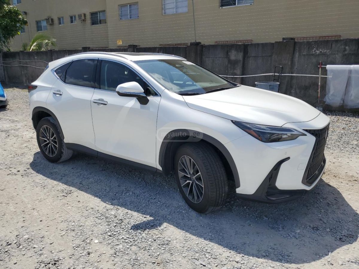 Lexus NX 300 Base 4dr All-wheel Drive Autom 2024 — миниатюра 4