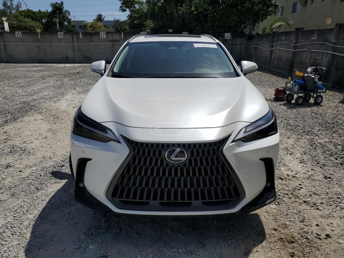 Lexus NX 300 Base 4dr All-wheel Drive Autom 2024 — миниатюра 5