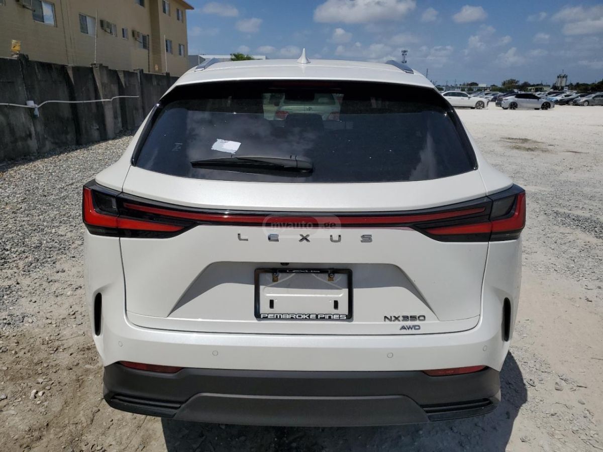 Lexus NX 300 Base 4dr All-wheel Drive Autom 2024 — миниатюра 6