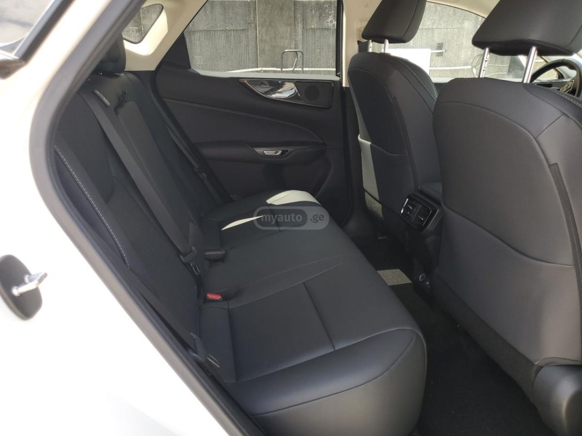 Lexus NX 300 Base 4dr All-wheel Drive Autom 2024 — миниатюра 9