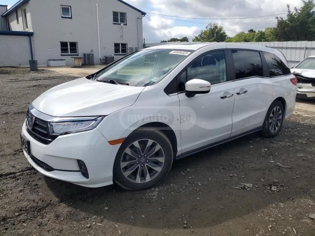 Honda Odyssey - фото 1