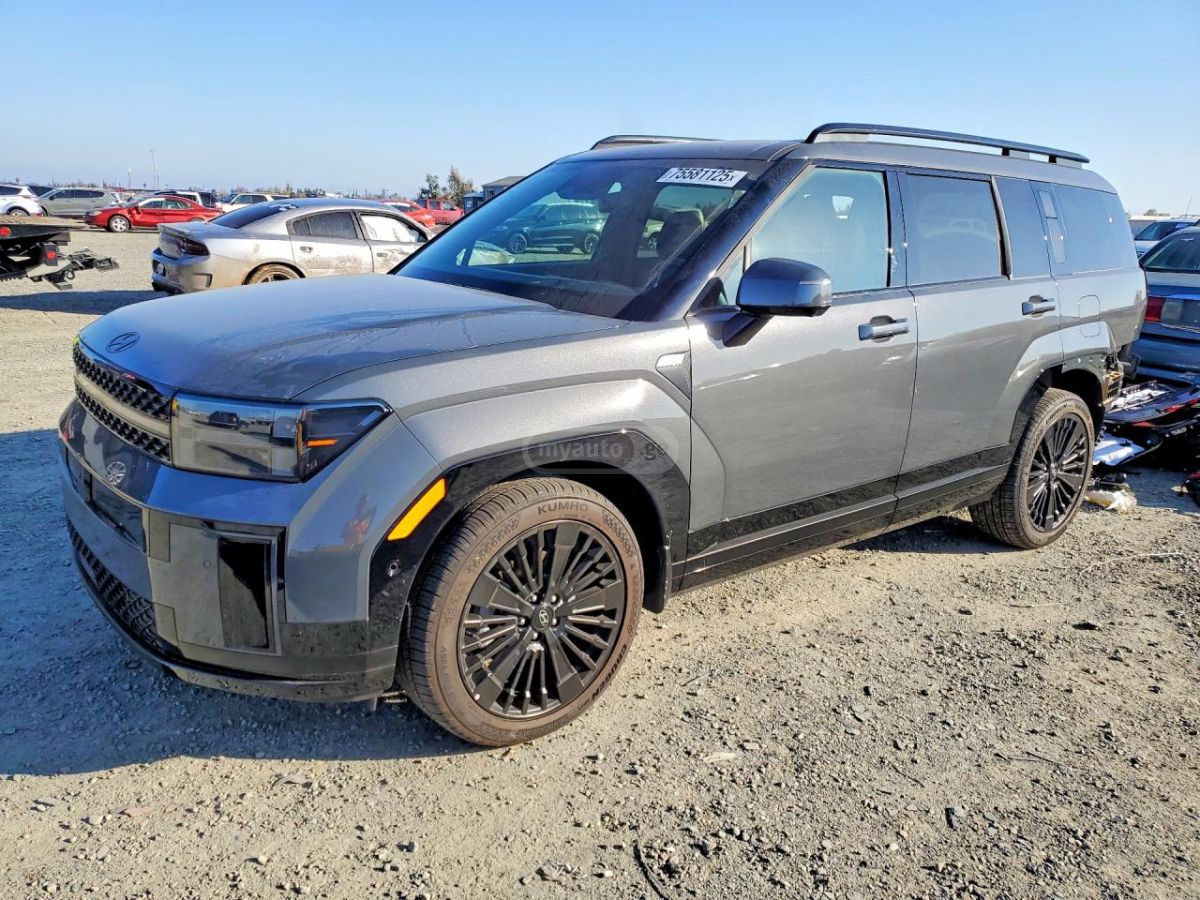 Hyundai Santa FE - фото 1