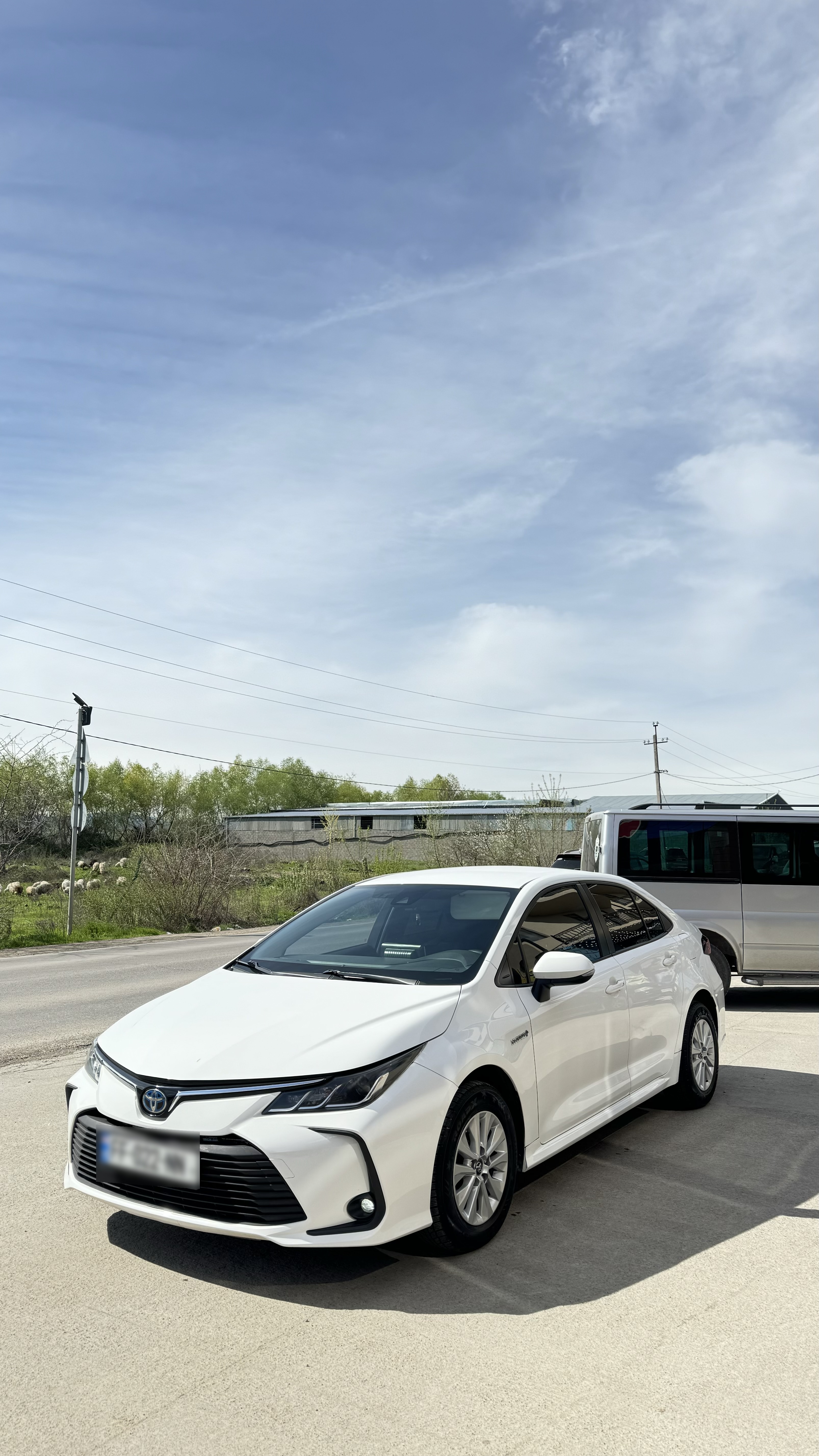 Toyota Corolla - фото 1