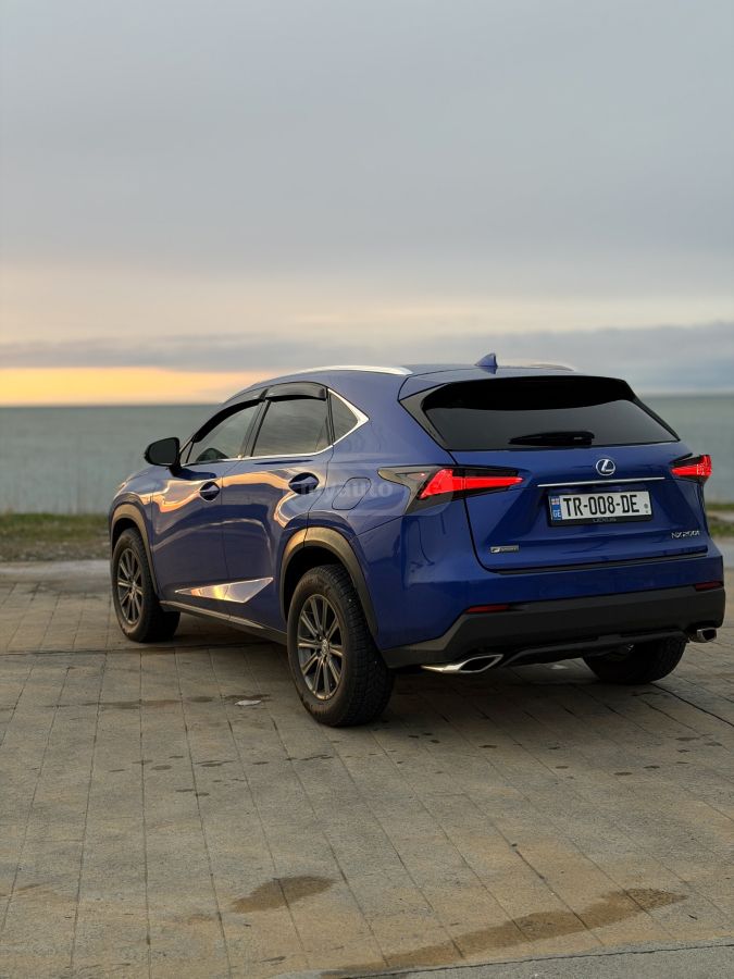 Lexus NX 200 - фото 10