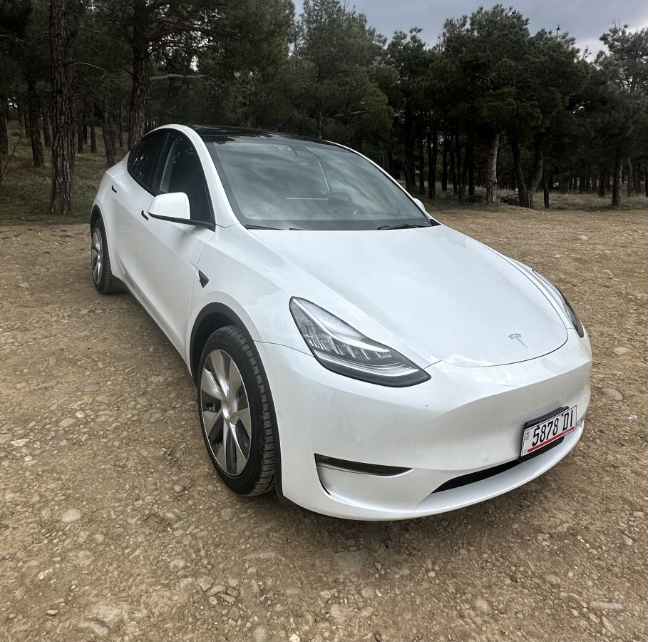 Tesla Model Y - фото 1