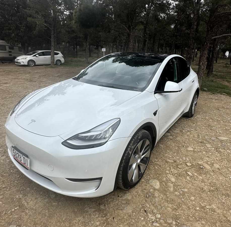 Tesla Model Y - фото 14