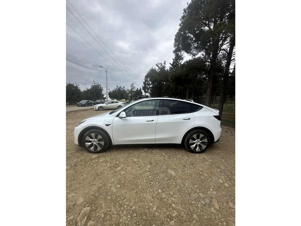 Tesla Model Y - фото 7