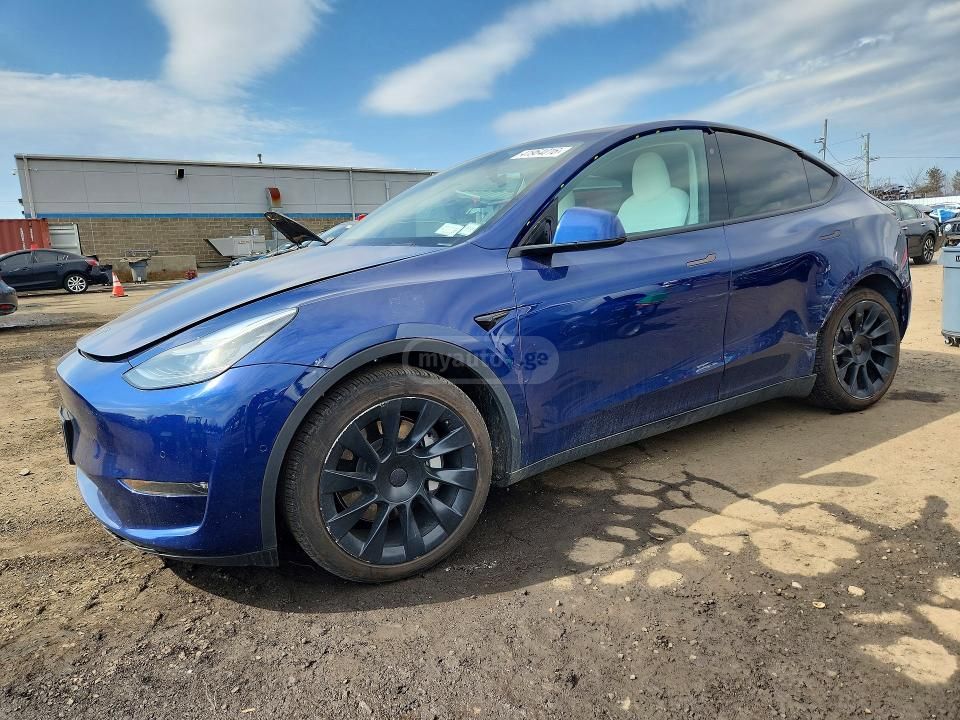 Tesla Model Y - фото 1