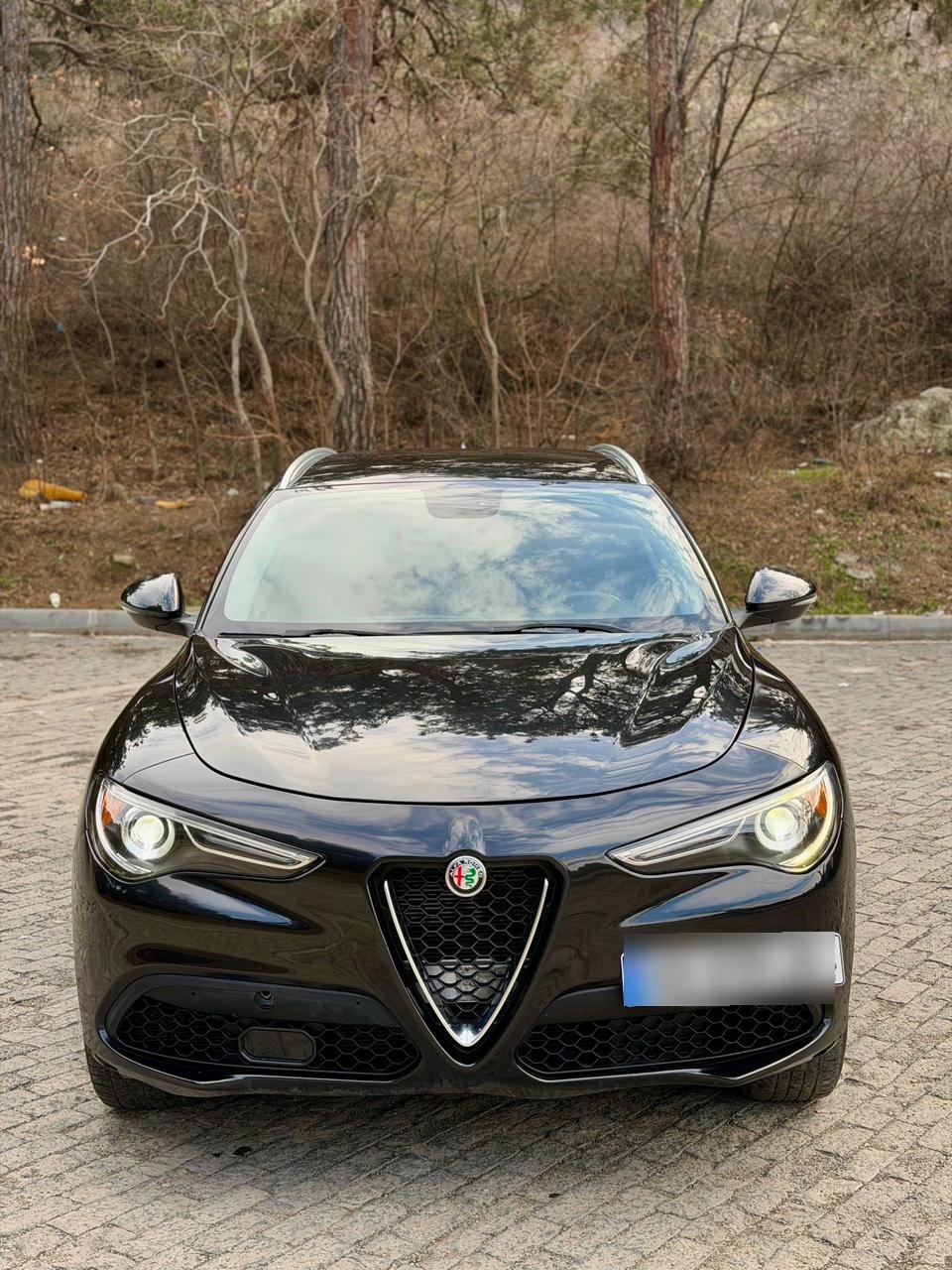 Alfa Romeo Stelvio - фото 2