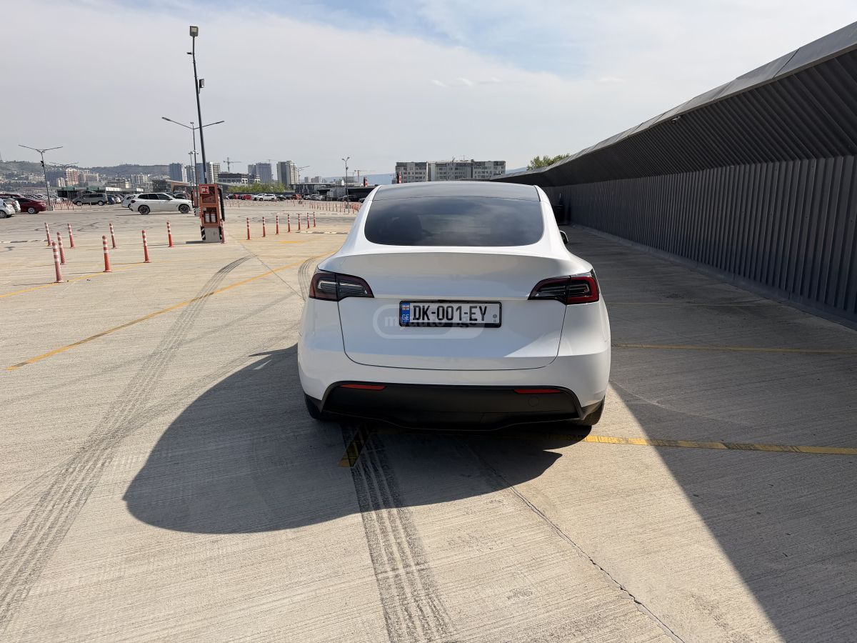 Tesla Model Y - фото 6