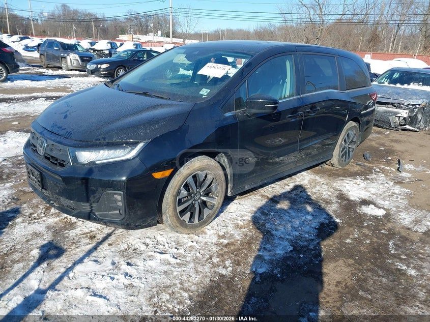 Honda Odyssey 2025 — миниатюра 2